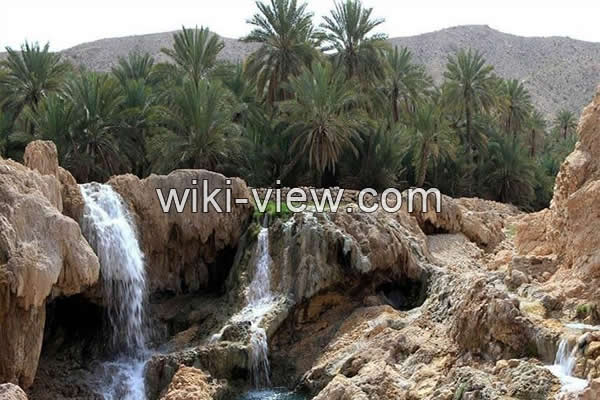 بندرعباس, جاذبه های گردشگری بندرعباس, بهترین زمان سفر به بندرعباس, بندرعباس گردی, معرفی بندرعباس, آب و هوای بندرعباس, مسیرهای ارتباطی بندرعباس, شهر بندرعباس