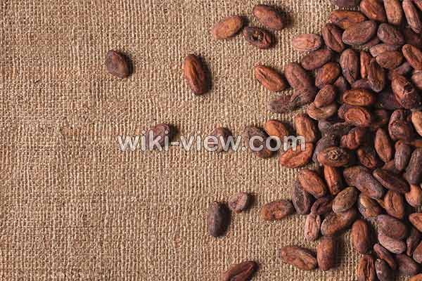 کاکائو, کاکائو چیست, خواص کاکائو, مضرات کاکائو, طبع کاکائو, کاکائو در بارداری, فرق شکلات و کاکائو, خواص کاکائو برای پوست, خواص کاکائو برای مو, خواص کاکائو در لاغری, خواص کاکائو برای کودکان کاکائو, کاکائو چیست, خواص کاکائو, مضرات کاکائو, طبع کاکائو, کاکائو در بارداری, فرق شکلات و کاکائو, خواص کاکائو برای پوست, خواص کاکائو برای مو, خواص کاکائو در لاغری, خواص کاکائو برای کودکان