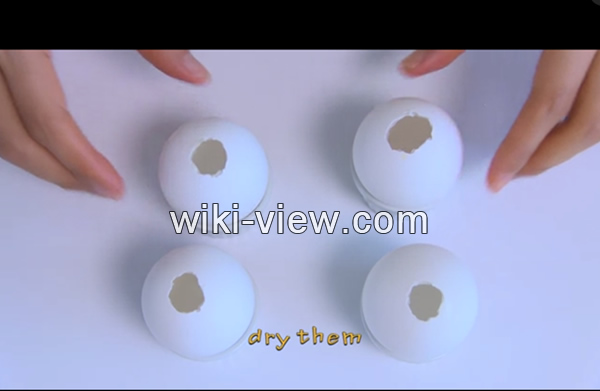 ژله یاقوتی در تخم مرغ, ژله یاقوتی, ژله شب یلدا, ژله تخم مرغی ساده, ژله , دسر شب یلدا, دسر زمستانی مجلسی, تنقلات شب یلدا, شب یلدا, شب یلدا ۹۸, شب یلدا ۱۳۹۸ ژله یاقوتی در تخم مرغ, ژله یاقوتی, ژله شب یلدا, دسر شب یلدا, طرز تهیه خوراکی های شب یلدا, انواع دسر, تهیه دسر مجلسی, دسر ساده, دسر بدون ژله, دسر زمستانی مجلسی, انواع دسر با ژله, سفره شب یلدا, دسر شب یلدا در جدول, تنقلات شب یلدا, شب یلدا, شب یلدا ۹۸, شب یلدا ۱۳۹۸