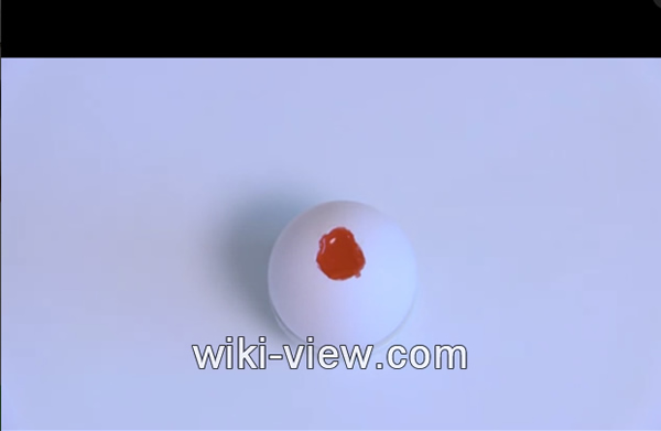 ژله یاقوتی در تخم مرغ, ژله یاقوتی, ژله شب یلدا, ژله تخم مرغی ساده, ژله , دسر شب یلدا, دسر زمستانی مجلسی, تنقلات شب یلدا, شب یلدا, شب یلدا ۹۸, شب یلدا ۱۳۹۸ ژله یاقوتی در تخم مرغ, ژله یاقوتی, ژله شب یلدا, دسر شب یلدا, طرز تهیه خوراکی های شب یلدا, انواع دسر, تهیه دسر مجلسی, دسر ساده, دسر بدون ژله, دسر زمستانی مجلسی, انواع دسر با ژله, سفره شب یلدا, دسر شب یلدا در جدول, تنقلات شب یلدا, شب یلدا, شب یلدا ۹۸, شب یلدا ۱۳۹۸
