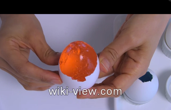 ژله یاقوتی در تخم مرغ, ژله یاقوتی, ژله شب یلدا, ژله تخم مرغی ساده, ژله , دسر شب یلدا, دسر زمستانی مجلسی, تنقلات شب یلدا, شب یلدا, شب یلدا ۹۸, شب یلدا ۱۳۹۸ ژله یاقوتی در تخم مرغ, ژله یاقوتی, ژله شب یلدا, دسر شب یلدا, طرز تهیه خوراکی های شب یلدا, انواع دسر, تهیه دسر مجلسی, دسر ساده, دسر بدون ژله, دسر زمستانی مجلسی, انواع دسر با ژله, سفره شب یلدا, دسر شب یلدا در جدول, تنقلات شب یلدا, شب یلدا, شب یلدا ۹۸, شب یلدا ۱۳۹۸