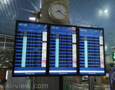 اطلاعیه فرودگاه امام‌خمینی / لغو برخی پروازهای خارجی