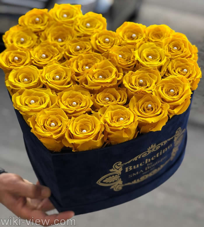 عکس گل, عکس گل شمعدانی, عکس گلهای زیبای جهان, عکس دسته گل, عکس عاشقانه گل رز, عکس گل برای پروفایل, عکس گل رز, دانلود عکس گل برای پروفایل, عکس تصویر زمینه, عکس تصویر زمینه گل عکس گل, عکس گل شمعدانی, عکس گلهای زیبای جهان, عکس دسته گل, عکس عاشقانه گل رز, عکس گل برای پروفایل, عکس گل رز, دانلود عکس گل برای پروفایل, عکس تصویر زمینه, عکس تصویر زمینه گل