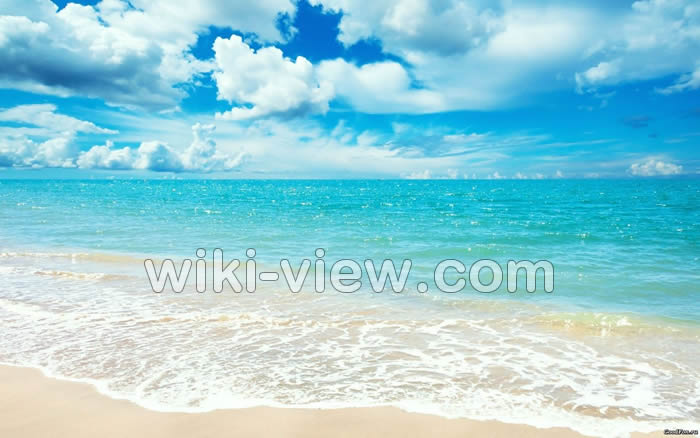 تعبیر خواب دریا, تعبیر خواب غرق شدن دیگران در دریا, تعبیر خواب دریا حضرت یوسف, تعبیر خواب دریا و ماهی, تعبیر خواب موج خیلی بزرگ, تعبیر خواب دریا ابن سیرین, تعبیر خواب دریا امام صادق, تعبیر خواب افتادن در دریا, خواب دیدن افتادن در دریا, تعبیر خواب غواصی در دریا, تعبیر خواب موج سواری, تعبیر خواب غرق شدن فرزند در دریا, تعبیر نجات دادن از غرق شدن, تعبیر نجات دادن کودک از مرگ, تعبیر خواب نجات یافتن از غرق شدن در دریا, تعبیر خواب نجات یافتن از سقوط تعبیر خواب دریا, تعبیر خواب غرق شدن دیگران در دریا, تعبیر خواب دریا حضرت یوسف, تعبیر خواب دریا و ماهی, تعبیر خواب موج خیلی بزرگ, تعبیر خواب دریا ابن سیرین, تعبیر خواب دریا امام صادق, تعبیر خواب افتادن در دریا, خواب دیدن افتادن در دریا, تعبیر خواب غواصی در دریا, تعبیر خواب موج سواری, تعبیر خواب غرق شدن فرزند در دریا, تعبیر نجات دادن از غرق شدن, تعبیر نجات دادن کودک از مرگ, تعبیر خواب نجات یافتن از غرق شدن در دریا, تعبیر خواب نجات یافتن از سقوط