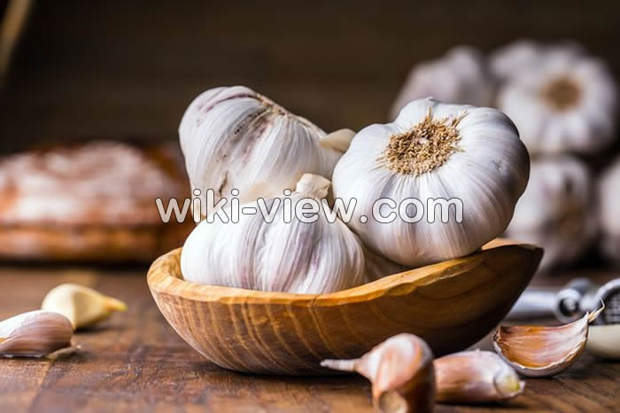 تعبیر خواب سیر, تعبیر خواب سیر ابن سیرین, تعبیر سیر در خواب, دیدن سیر در خواب نسانه چیست, تعبیر خواب سیر از نظر امام صادق, تعبیر خواب سیر پوست کندن, تعبیر خواب کندن سیر از زمین, تعبیر خواب کاشتن سیر چیست, تعبیر خواب پوست کندن سیر تازه, تعبیر خواب سیر کوهی, تعبیر خواب سیر یونگ تعبیر خواب سیر, تعبیر خواب سیر ابن سیرین, تعبیر سیر در خواب, دیدن سیر در خواب نسانه چیست, تعبیر خواب سیر از نظر امام صادق, تعبیر خواب سیر پوست کندن, تعبیر خواب کندن سیر از زمین, تعبیر خواب کاشتن سیر چیست, تعبیر خواب پوست کندن سیر تازه, تعبیر خواب سیر کوهی, تعبیر خواب سیر یونگ