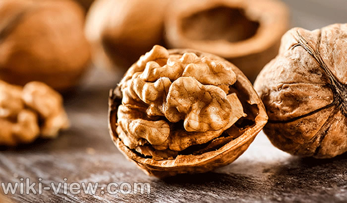 تعبیر خواب گردو, تعبیر خواب گردو از حضرت یوسف, تعبیر خواب گردو تازه, تعبیر خواب گردو با پوست خشک, تعبیر خواب گردو ابن سیرین, تعبیر خواب گردو از دیدگاه حضرت یوسف, تعبیر خواب گردو از یوسف نبی, تعبیر خواب گردو با پوست چوبی, تعبیر خواب گردو برای زن حامله, تعبیر خواب گرفتن گردو از شخصی, تعبیر خواب گردو امام صادق, تعبیر خواب گردو با پوست چوبی, تعبیر خواب حضرت یوسف گردو چیدن از درخت, تعبیر خواب چیدن گردو با پوست سبز, تعبیر خواب درخت گردو ابن سیرین, تعبیر خواب گردو یونگ تعبیر خواب گردو, تعبیر خواب گردو از حضرت یوسف, تعبیر خواب گردو تازه, تعبیر خواب گردو با پوست خشک, تعبیر خواب گردو ابن سیرین, تعبیر خواب گردو از دیدگاه حضرت یوسف, تعبیر خواب گردو از یوسف نبی, تعبیر خواب گردو با پوست چوبی, تعبیر خواب گردو برای زن حامله, تعبیر خواب گرفتن گردو از شخصی, تعبیر خواب گردو امام صادق, تعبیر خواب گردو با پوست چوبی, تعبیر خواب حضرت یوسف گردو چیدن از درخت, تعبیر خواب چیدن گردو با پوست سبز, تعبیر خواب درخت گردو ابن سیرین, تعبیر خواب گردو یونگ