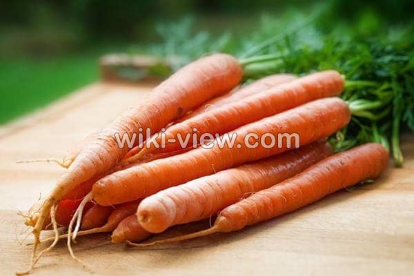 هویج, خواص هویج, مضرات هویج, طبع هویج, خواص هویج پخته, خواص هویج برای لاغری, هویج در بارداری, خواص هویج برای تخمدان, خواص هویج برای پوست, هویج و یبوست, هویج و کبد چرب هویج, خواص هویج, مضرات هویج, طبع هویج, خواص هویج پخته, خواص هویج برای لاغری, هویج در بارداری, خواص هویج برای تخمدان, خواص هویج برای پوست, هویج و یبوست, هویج و کبد چرب
