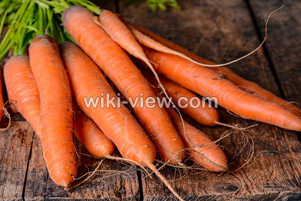 هویج, خواص هویج, مضرات هویج, طبع هویج, خواص هویج پخته, خواص هویج برای لاغری, هویج در بارداری, خواص هویج برای تخمدان, خواص هویج برای پوست, هویج و یبوست, هویج و کبد چرب هویج, خواص هویج, مضرات هویج, طبع هویج, خواص هویج پخته, خواص هویج برای لاغری, هویج در بارداری, خواص هویج برای تخمدان, خواص هویج برای پوست, هویج و یبوست, هویج و کبد چرب