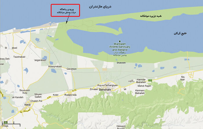 شرق خلیج گرگان درگیر مرگ پرندگان مهاجر شد میانکاله, تالاب میانکاله, میانکاله کجاست, آخرین اخبار تالاب میانکاله, حیات وحش میانکاله, شبه جزیره میانکاله, میانکاله نقشه, میانکاله مازندران کجاست, میانکال, میانکاله روی نقشه, میانکاله مرگ پرندگان, میانکاله مرگ, علت مرگ پرندگان میانکاله, مرگ پرندگان در تالاب میانکاله, مرگ پرندگان در میانکاله