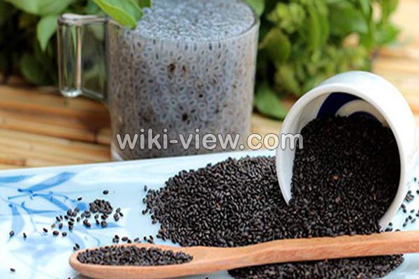 تخمه شربتی, تخمه شربتی چیست, خواص تخمه شربتی, مضرات مصرف تخمه شربتی, زمان مصرف تخمه شربتی, خواص تخمه شربتی برای پوست, خواص تخمه شربتی برای ورزشکاران, مقدار مصرف روزانه تخمه شربتی, تخمه شربتی برای لاغری, طرز شستن تخمه شربتی تخمه شربتی, تخمه شربتی چیست, خواص تخمه شربتی, مضرات مصرف تخمه شربتی, زمان مصرف تخمه شربتی, خواص تخمه شربتی برای پوست, خواص تخمه شربتی برای ورزشکاران, مقدار مصرف روزانه تخمه شربتی, تخمه شربتی برای لاغری, طرز شستن تخمه شربتی