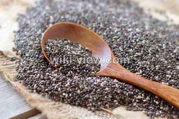 تخمه شربتی, تخمه شربتی چیست, خواص تخمه شربتی, مضرات مصرف تخمه شربتی, زمان مصرف تخمه شربتی, خواص تخمه شربتی برای پوست, خواص تخمه شربتی برای ورزشکاران, مقدار مصرف روزانه تخمه شربتی, تخمه شربتی برای لاغری, طرز شستن تخمه شربتی تخمه شربتی, تخمه شربتی چیست, خواص تخمه شربتی, مضرات مصرف تخمه شربتی, زمان مصرف تخمه شربتی, خواص تخمه شربتی برای پوست, خواص تخمه شربتی برای ورزشکاران, مقدار مصرف روزانه تخمه شربتی, تخمه شربتی برای لاغری, طرز شستن تخمه شربتی