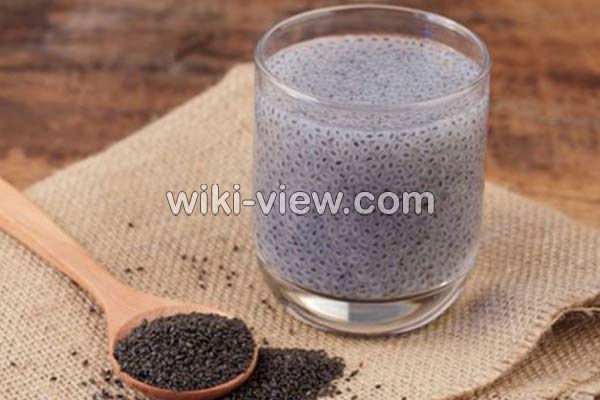 تخمه شربتی, تخمه شربتی چیست, خواص تخمه شربتی, مضرات مصرف تخمه شربتی, زمان مصرف تخمه شربتی, خواص تخمه شربتی برای پوست, خواص تخمه شربتی برای ورزشکاران, مقدار مصرف روزانه تخمه شربتی, تخمه شربتی برای لاغری, طرز شستن تخمه شربتی تخمه شربتی, تخمه شربتی چیست, خواص تخمه شربتی, مضرات مصرف تخمه شربتی, زمان مصرف تخمه شربتی, خواص تخمه شربتی برای پوست, خواص تخمه شربتی برای ورزشکاران, مقدار مصرف روزانه تخمه شربتی, تخمه شربتی برای لاغری, طرز شستن تخمه شربتی