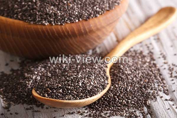 تخمه شربتی, تخمه شربتی چیست, خواص تخمه شربتی, مضرات مصرف تخمه شربتی, زمان مصرف تخمه شربتی, خواص تخمه شربتی برای پوست, خواص تخمه شربتی برای ورزشکاران, مقدار مصرف روزانه تخمه شربتی, تخمه شربتی برای لاغری, طرز شستن تخمه شربتی تخمه شربتی, تخمه شربتی چیست, خواص تخمه شربتی, مضرات مصرف تخمه شربتی, زمان مصرف تخمه شربتی, خواص تخمه شربتی برای پوست, خواص تخمه شربتی برای ورزشکاران, مقدار مصرف روزانه تخمه شربتی, تخمه شربتی برای لاغری, طرز شستن تخمه شربتی