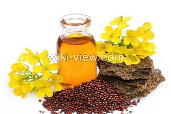 روغن خردل, خواص روغن خردل, مضرات روغن خردل, روغن خردل اصل, روغن خردل برای ماساژ, روغن خردل و زردچوبه, روغن خردل را از کجا تهیه کنیم, خواص روغن خردل در طب سنتی, روغن خردل برای لثه, روغن خردل برای چاقی صورت روغن خردل, خواص روغن خردل, مضرات روغن خردل, روغن خردل اصل, روغن خردل برای ماساژ, روغن خردل و زردچوبه, روغن خردل را از کجا تهیه کنیم, خواص روغن خردل در طب سنتی, روغن خردل برای لثه, روغن خردل برای چاقی صورت
