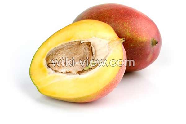هسته انبه, خواص هسته انبه, مضرات هسته انبه, تلخی هسته انبه, طریقه مصرف هسته انبه, هسته انبه راچگونه بخوریم؟, خواص هسته انبه در طب سنتی, هسته انبه را چگونه بکاریم, چگونه روغن هسته انبه را بگیریم هسته انبه, خواص هسته انبه, مضرات هسته انبه, تلخی هسته انبه, طریقه مصرف هسته انبه, هسته انبه راچگونه بخوریم؟, خواص هسته انبه در طب سنتی, هسته انبه را چگونه بکاریم, چگونه روغن هسته انبه را بگیریم