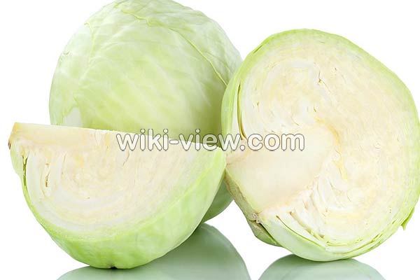 کلم سفید, خواص کلم سفید, مضرات کلم سفید, طبع کلم سفید, خواص کلم سفید در بارداری, خواص کلم سفید برای لاغری, خواص کلم سفید در طب سنتی, خواص کلم سفید برای کودکان کلم سفید, خواص کلم سفید, مضرات کلم سفید, طبع کلم سفید, خواص کلم سفید در بارداری, خواص کلم سفید برای لاغری, خواص کلم سفید در طب سنتی, خواص کلم سفید برای کودکان