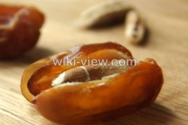 هسته خرما, خواص هسته خرما, مضرات هسته خرما, هسته خرما و سنگ کلیه, هسته خرما و دیابت, روش مصرف هسته خرما هسته خرما, خواص هسته خرما, مضرات هسته خرما, هسته خرما و سنگ کلیه, هسته خرما و دیابت, روش مصرف هسته خرما