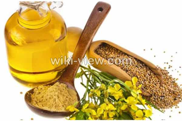 روغن خردل, خواص روغن خردل, مضرات روغن خردل, روغن خردل اصل, روغن خردل برای ماساژ, روغن خردل و زردچوبه, روغن خردل را از کجا تهیه کنیم, خواص روغن خردل در طب سنتی, روغن خردل برای لثه, روغن خردل برای چاقی صورت روغن خردل, خواص روغن خردل, مضرات روغن خردل, روغن خردل اصل, روغن خردل برای ماساژ, روغن خردل و زردچوبه, روغن خردل را از کجا تهیه کنیم, خواص روغن خردل در طب سنتی, روغن خردل برای لثه, روغن خردل برای چاقی صورت