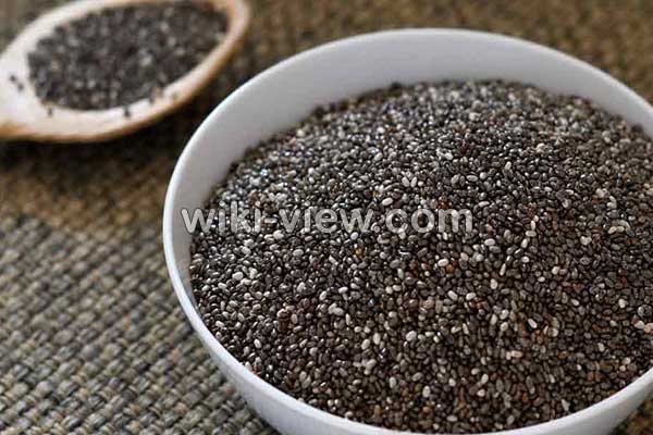 تخمه شربتی, تخمه شربتی چیست, خواص تخمه شربتی, مضرات مصرف تخمه شربتی, زمان مصرف تخمه شربتی, خواص تخمه شربتی برای پوست, خواص تخمه شربتی برای ورزشکاران, مقدار مصرف روزانه تخمه شربتی, تخمه شربتی برای لاغری, طرز شستن تخمه شربتی تخمه شربتی, تخمه شربتی چیست, خواص تخمه شربتی, مضرات مصرف تخمه شربتی, زمان مصرف تخمه شربتی, خواص تخمه شربتی برای پوست, خواص تخمه شربتی برای ورزشکاران, مقدار مصرف روزانه تخمه شربتی, تخمه شربتی برای لاغری, طرز شستن تخمه شربتی