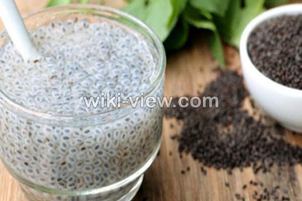 تخمه شربتی, تخمه شربتی چیست, خواص تخمه شربتی, مضرات مصرف تخمه شربتی, زمان مصرف تخمه شربتی, خواص تخمه شربتی برای پوست, خواص تخمه شربتی برای ورزشکاران, مقدار مصرف روزانه تخمه شربتی, تخمه شربتی برای لاغری, طرز شستن تخمه شربتی تخمه شربتی, تخمه شربتی چیست, خواص تخمه شربتی, مضرات مصرف تخمه شربتی, زمان مصرف تخمه شربتی, خواص تخمه شربتی برای پوست, خواص تخمه شربتی برای ورزشکاران, مقدار مصرف روزانه تخمه شربتی, تخمه شربتی برای لاغری, طرز شستن تخمه شربتی