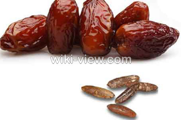 هسته خرما, خواص هسته خرما, مضرات هسته خرما, هسته خرما و سنگ کلیه, هسته خرما و دیابت, روش مصرف هسته خرما هسته خرما, خواص هسته خرما, مضرات هسته خرما, هسته خرما و سنگ کلیه, هسته خرما و دیابت, روش مصرف هسته خرما