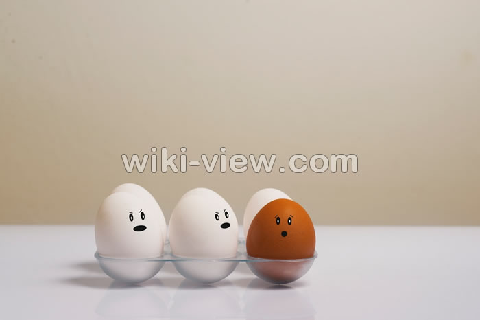 تعبیر خواب تخم مرغ, تعبیر خواب تخم مرغ ابن سیرین, تعبیر خواب تخم مرغ امام صادق, تعبیر خواب تخم مرغ پخته, تعبیر خواب تخم مرغ شکسته, تعبیر خواب تخمه مرغ از امام صادق, تعبیر خواب سفیده تخمه مرغ, تعبیر خواب مرغ خانگی, تعبیر خواب خوردن نیمرو, تعبیر خواب خوردن خاگینه, تعبیر خواب نیمرو ابن سیرین, تعبیر دیدن خاگینه در خواب, تعبیر خواب املت تعبیر خواب تخم مرغ, تعبیر خواب تخم مرغ ابن سیرین, تعبیر خواب تخم مرغ امام صادق, تعبیر خواب تخم مرغ پخته, تعبیر خواب تخم مرغ شکسته, تعبیر خواب تخمه مرغ از امام صادق, تعبیر خواب سفیده تخمه مرغ, تعبیر خواب مرغ خانگی, تعبیر خواب خوردن نیمرو, تعبیر خواب خوردن خاگینه, تعبیر خواب نیمرو ابن سیرین, تعبیر دیدن خاگینه در خواب, تعبیر خواب املت