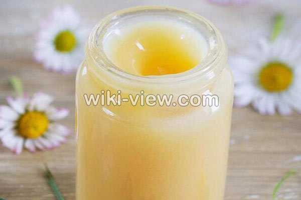 ژل رویال, ژل رویال چیست, خواص ژل رویال, طریقه مصرف ژل رویال, ژل رویال برای ناباروری, خواص ژل رویال برای کودکان, خواص ژل رویال در سرطان, خواص ژل رویال برای پوست, خواص ژل رویال طب اسلامی