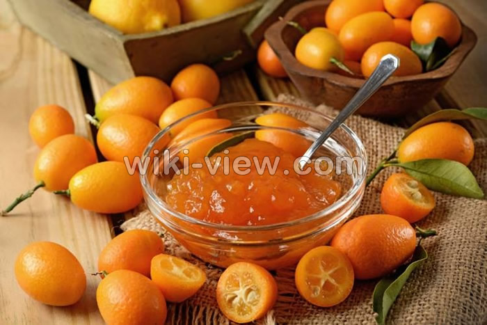 مربای کامکوات, طرز تهیه مربای کامکوات, طرز تهیه مربای کامکوات نصف شده, طرز تهیه مربای کامکوات خوشمزه, مربای کامکوات مجلسی, مربای کامکوات نصف شده, مربای کامکوات حلقه شده, مربای کامکوات خانم گلاور, مربای کامکوات مامی سایت, مربای کامکوات به شکل گل, طرز تهیه مربای کامکوات رزا منتظمی, طرز تهیه مربای کامکوات حلقه ای مربای کامکوات, طرز تهیه مربای کامکوات, طرز تهیه مربای کامکوات نصف شده, طرز تهیه مربای کامکوات خوشمزه, مربای کامکوات مجلسی, مربای کامکوات نصف شده, مربای کامکوات حلقه شده, مربای کامکوات خانم گلاور, مربای کامکوات مامی سایت, مربای کامکوات به شکل گل, طرز تهیه مربای کامکوات رزا منتظمی, طرز تهیه مربای کامکوات حلقه ای