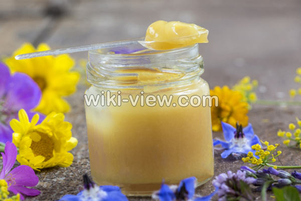 ژل رویال, ژل رویال چیست, خواص ژل رویال, طریقه مصرف ژل رویال, ژل رویال برای ناباروری, خواص ژل رویال برای کودکان, خواص ژل رویال در سرطان, خواص ژل رویال برای پوست, خواص ژل رویال طب اسلامی