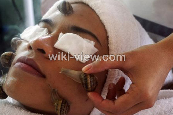 حلزون تراپی, حلزون تراپی چیست, خواص حلزون تراپی, عوارض حلزون تراپی, آموزش حلزون تراپی, بعد از حلزون تراپی چه کنیم آموزش حلزون تراپی, فواید حلزون تراپی, حلزون تراپی صورت, قیمت حلزون تراپی, قیمت حلزون طبی, حلزون تراپی نی نی سایت, خرید حلزون زنده, فروش حلزون طبی, حلزون درمانی, خرید حلزون تراپی حلزون تراپی, حلزون تراپی چیست, خواص حلزون تراپی, عوارض حلزون تراپی, آموزش حلزون تراپی, بعد از حلزون تراپی چه کنیم آموزش حلزون تراپی, فواید حلزون تراپی, حلزون تراپی صورت, قیمت حلزون تراپی, قیمت حلزون طبی, حلزون تراپی نی نی سایت, خرید حلزون زنده, فروش حلزون طبی, حلزون درمانی, خرید حلزون تراپی