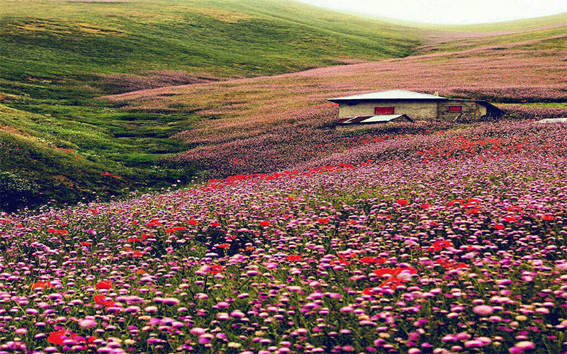 از تهران تا کرج سفر به روستاهای توریستی