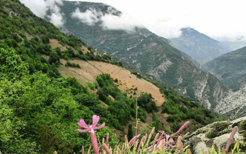 روستای نشترود روستای نشترود
