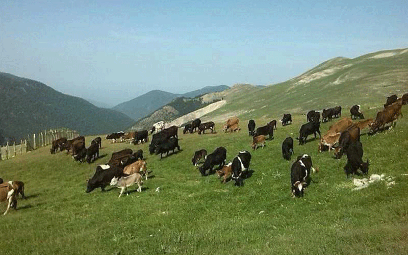 جاذبه های گردشگری اسالم به خلخال جاذبه های گردشگری اسالم به خلخال