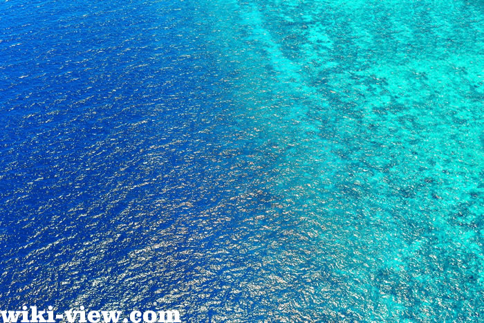 تعبیر خواب آب دریا, تعبیر خواب خشک شدن دریا امام صادق, تعبیر خواب دریا حضرت یوسف, تعبیر خواب دریا ابن سیرین, تعبیر خواب دریای طوفانی, تعبیر خواب دریا توپ تاپ, تعبیر خواب دریای طوفانی و گل آلود, تعبیر خواب بالا آمدن آب دریا چیست, تعبیر خواب افتادن در دریا با ماشین, تعبیر خواب دریا و ماهی, تعبیر خواب آب, تعبیر خواب افتادن در دریا و نجات یافتن, تعبیر خواب دریا یونگ تعبیر خواب آب دریا, تعبیر خواب خشک شدن دریا امام صادق, تعبیر خواب دریا حضرت یوسف, تعبیر خواب دریا ابن سیرین, تعبیر خواب دریای طوفانی, تعبیر خواب دریا توپ تاپ, تعبیر خواب دریای طوفانی و گل آلود, تعبیر خواب بالا آمدن آب دریا چیست, تعبیر خواب افتادن در دریا با ماشین, تعبیر خواب دریا و ماهی, تعبیر خواب آب, تعبیر خواب افتادن در دریا و نجات یافتن, تعبیر خواب دریا یونگ