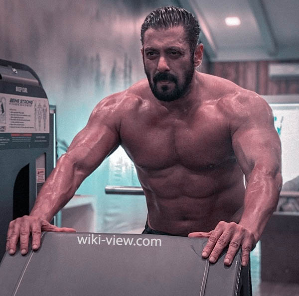 سلمان خان, وزن سلمان خان, همسر سلمان خان, ماشین سلمان خان, قد سلمان خان, عکس منزل سلمان خان, شاهرخ خان, سلمان خان فیلم, خانواده سلمان خان, جوایز سلمان خان در بالیوود