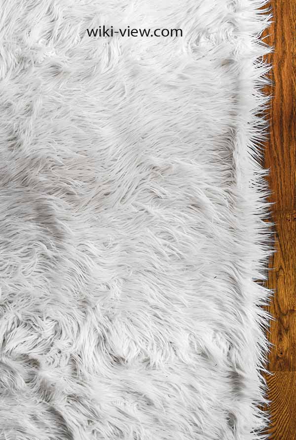 تعبیر خواب خز🌒تعبیر پوشیدن لباسی از خز/ تعبیر خواب خز به روایت از امام صادق