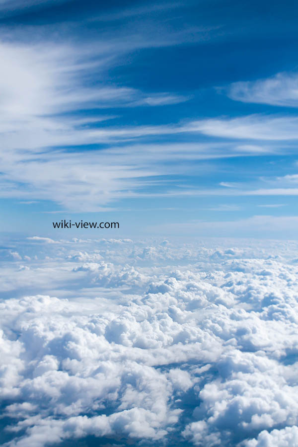 تعبیر خواب عرش🌒 تعبیر خواب از عرش به زمین افتادن/ تعبیرخواب عرش به روایت ابن سیرین