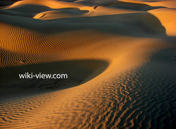تعبیر خواب بیابان🌒تعبیر خواب گم شدن در بیابان/ تعبیر خواب بیابان به روایت از ابن سیرین