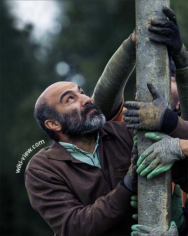 محسن تنابنده, بیوگرافی محسن تنابنده, همسر و فرزند محسن تنابنده, فیلم های محسن تنابنده, محسن تنابنده در پایتخت, جوایز و افتخارات محسن تنابنده, عکس های محسن تنابنده و خانواده اش, نقش متفاوت محسن تنابنده در فیلم ابله, نقشهای ماندار محسن تنابنده, برخی از جزئیات کارو زندگی محسن تنابنده